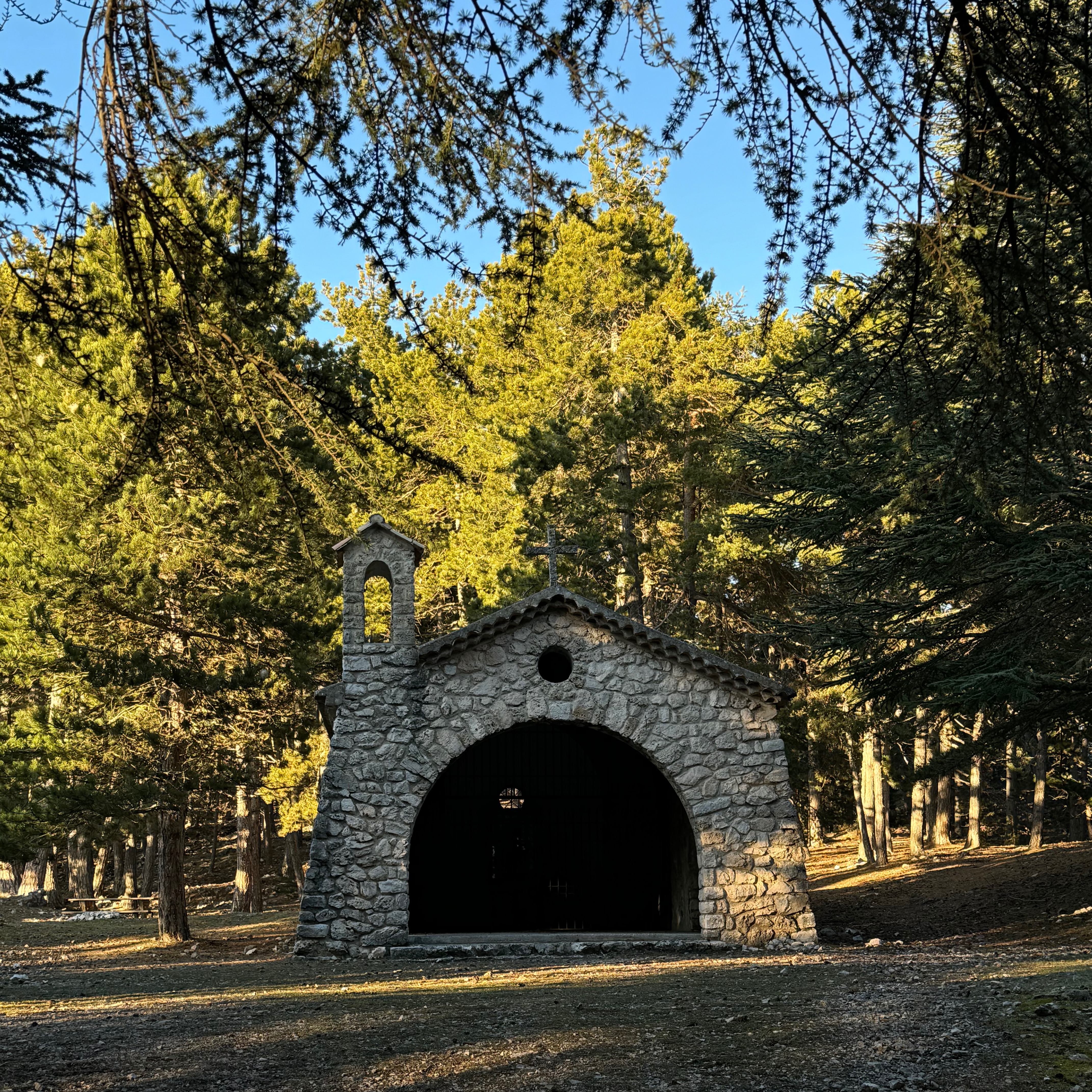Photo de Anisse LE LOUARN